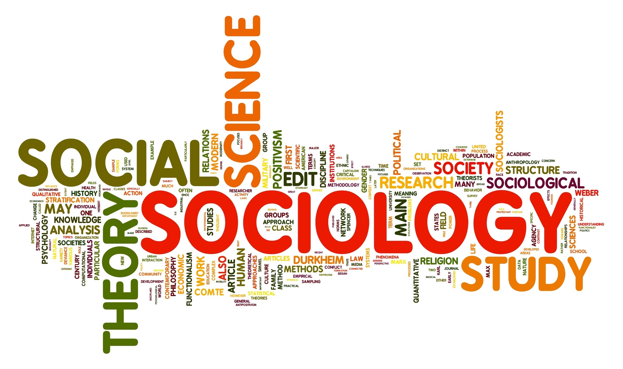 perche studiare sociologia
